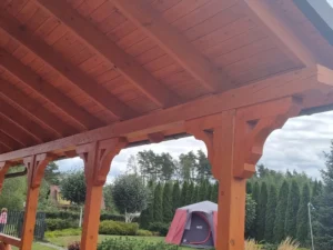 Arizona projekt domu dom drewniany szkieletowy taras Mildo domy drewniane