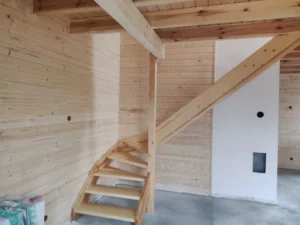 Arizona projekt domu dom drewniany szkieletowy taras Mildo domy drewniane