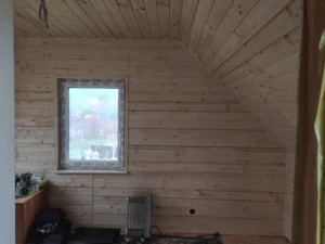 Arizona projekt domu dom drewniany szkieletowy taras Mildo domy drewniane