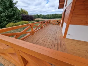 Arizona projekt domu dom drewniany szkieletowy taras Mildo domy drewniane