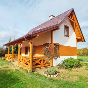 Arizona projekt domu dom drewniany szkieletowy taras Mildo domy drewniane