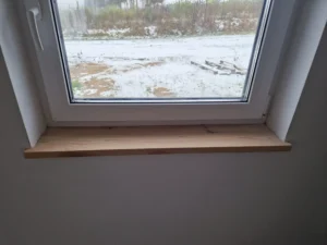 Dakota projekt domu dom drewniany szkieletowy Mildo