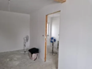 Dakota projekt domu dom drewniany szkieletowy Mildo