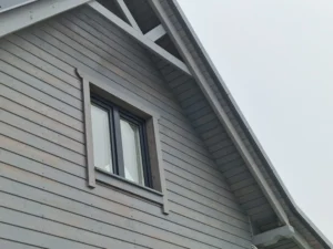 Dakota projekt domu dom drewniany szkieletowy Mildo