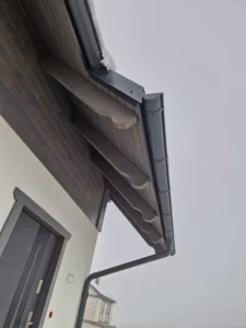 Dakota projekt domu dom drewniany szkieletowy Mildo