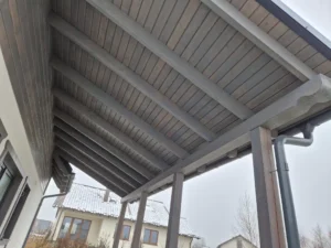 Dakota projekt domu dom drewniany szkieletowy Mildo