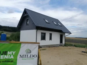 Dakota projekt domu dom drewniany szkieletowy Mildo