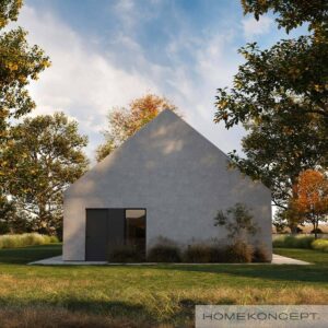 Homekoncept 120 projekt domu nowoczesnego dom drewniany szkieletowy firma Mildo Pomorze