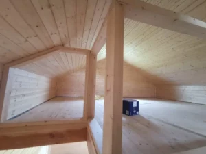 Kalifornia projekt domu dom drewniany szkieletowy Mildo