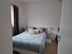 Karolina projekt domu drewnianego szkieletowego małego Mildo domy drewniane