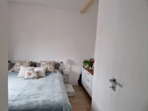 Karolina projekt domu drewnianego szkieletowego małego Mildo domy drewniane