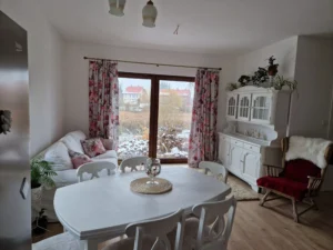 Karolina projekt domu drewnianego szkieletowego małego Mildo domy drewniane