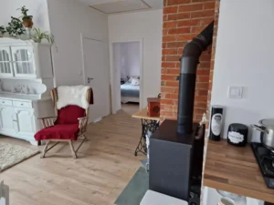 Karolina projekt domu drewnianego szkieletowego małego Mildo domy drewniane