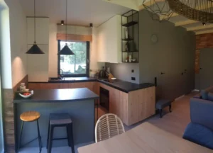 Nevada projekt domu parterowego dom drewniany szkieletowy Mildo