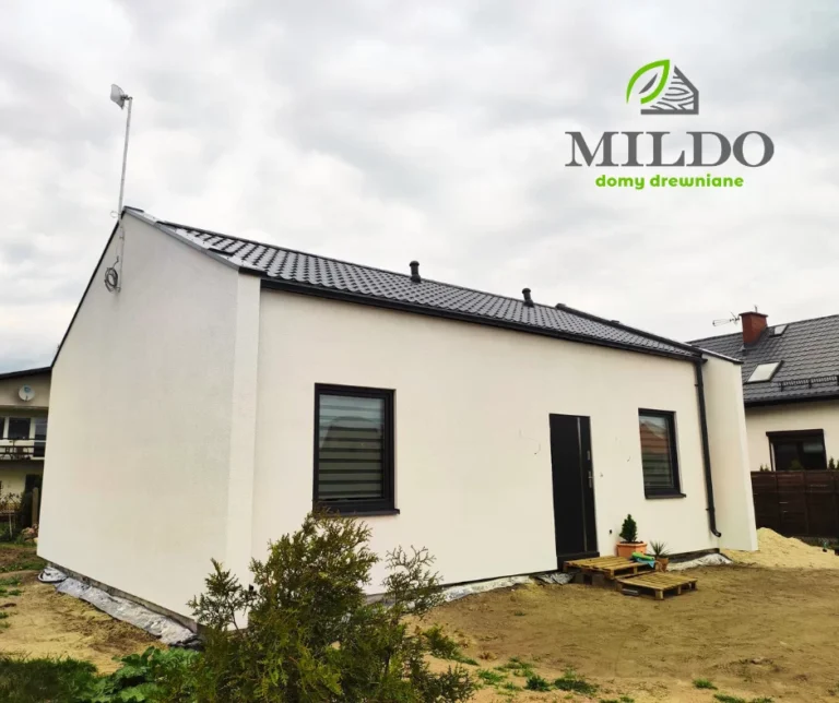 Nevada II nowoczesna projekt domu mały dom drewniany szkieletowy Mildo domy drewniane