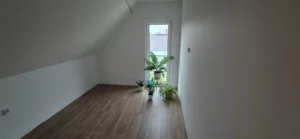 Ohio projekt domu drewnianego szkieletowego Mildo