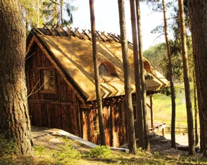 Teksas projekt domu dom drewniany szkieletowy z tarasem Mildo