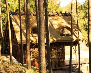 Teksas projekt domu dom drewniany szkieletowy z tarasem Mildo