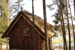 Teksas projekt domu dom drewniany szkieletowy z tarasem Mildo