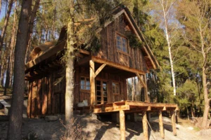 Teksas projekt domu dom drewniany szkieletowy z tarasem Mildo