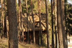 Teksas projekt domu dom drewniany szkieletowy z tarasem Mildo