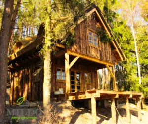 Teksas projekt domu dom drewniany szkieletowy z tarasem Mildo