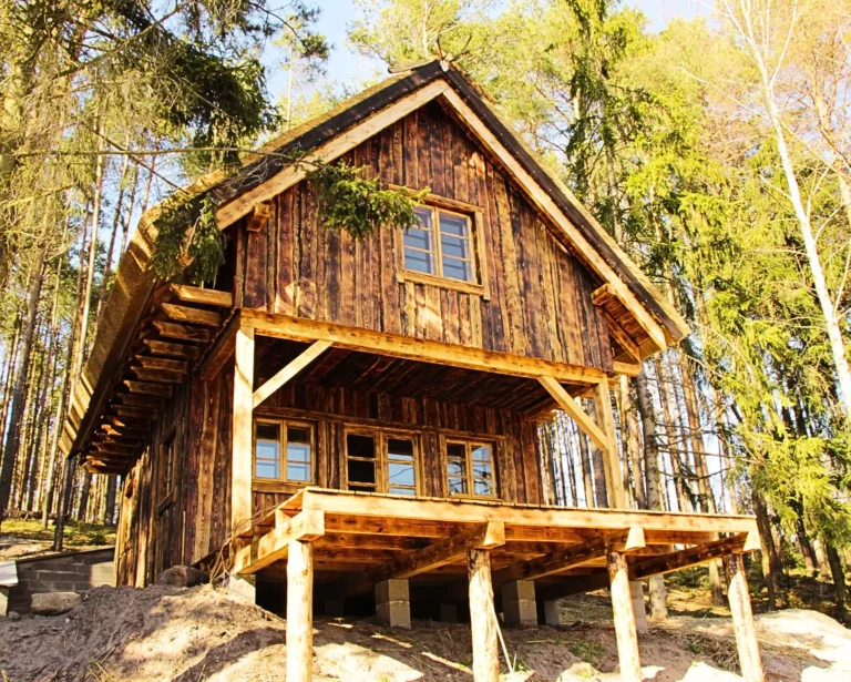 Teksas projekt domu dom drewniany szkieletowy z tarasem Mildo