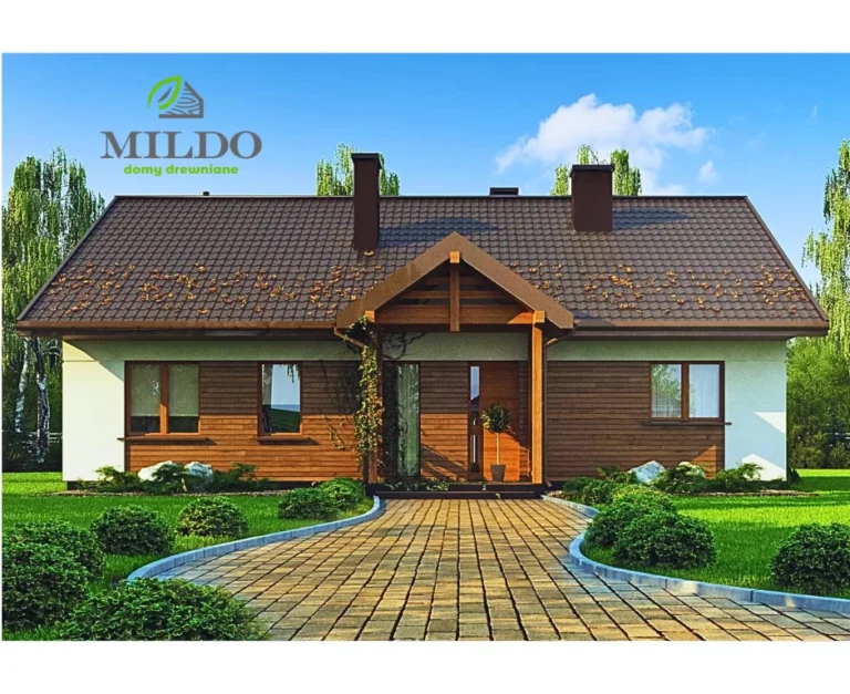 Z369D projekt domu dom drewniany szkieletowy parterowy Mildo domy drewniane